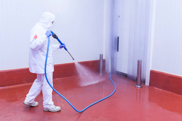 Paint Preparation in Sudan, TX