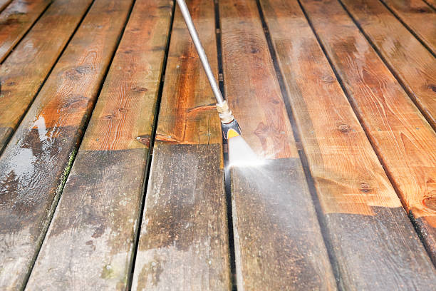 Animal Enclosure Cleaning in Sudan, TX